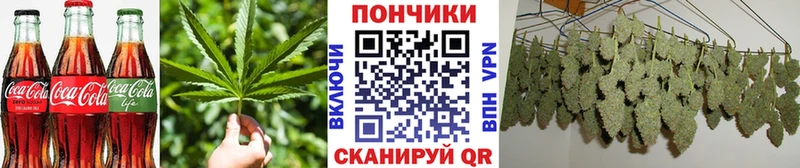 Canna-Cookies конопля  Тайга 
