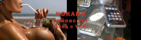 стаф Арсеньев