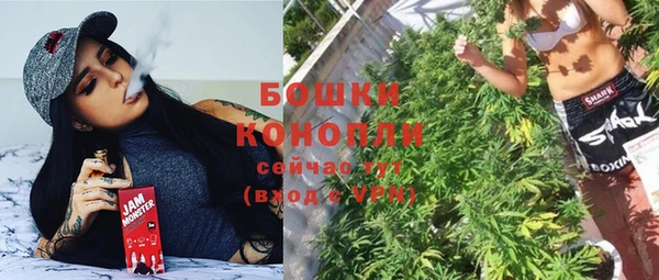 стаф Арсеньев