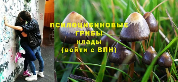 стаф Арсеньев