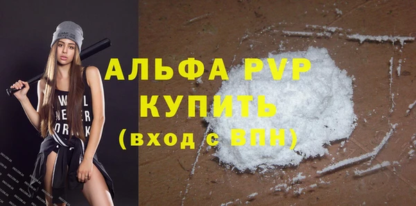 стаф Арсеньев
